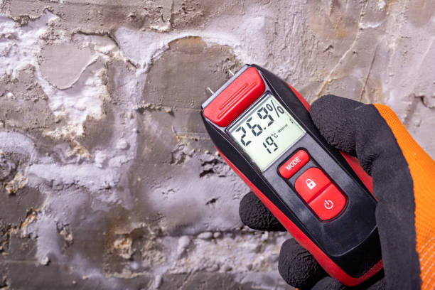 Attic Mold Removal in Freedom, CA