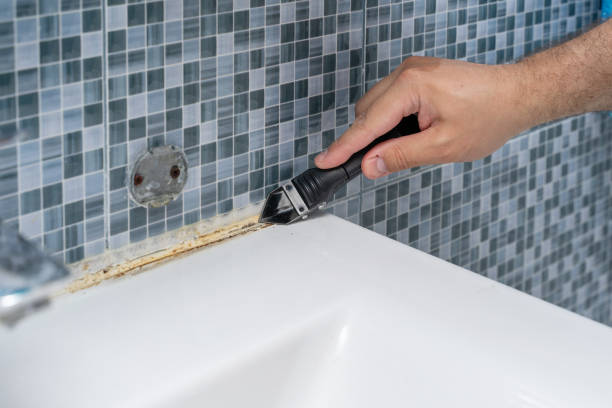 Best Attic Mold Removal  in Freedom, CA