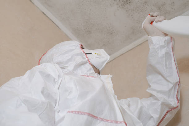 Best Residential Mold Removal  in Freedom, CA